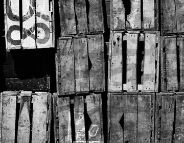 Apavisa - Kolekcja Wood